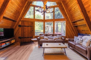 Smart TV, chimenea y libros