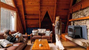 Smart TV, fireplace, books