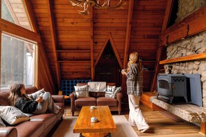 Smart TV, chimenea y libros