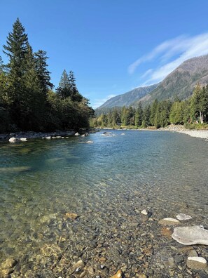 Beach - Fern Haus and Cottage- unique mtn view cabin! (Baring)