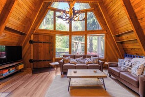 Smart TV, fireplace, books