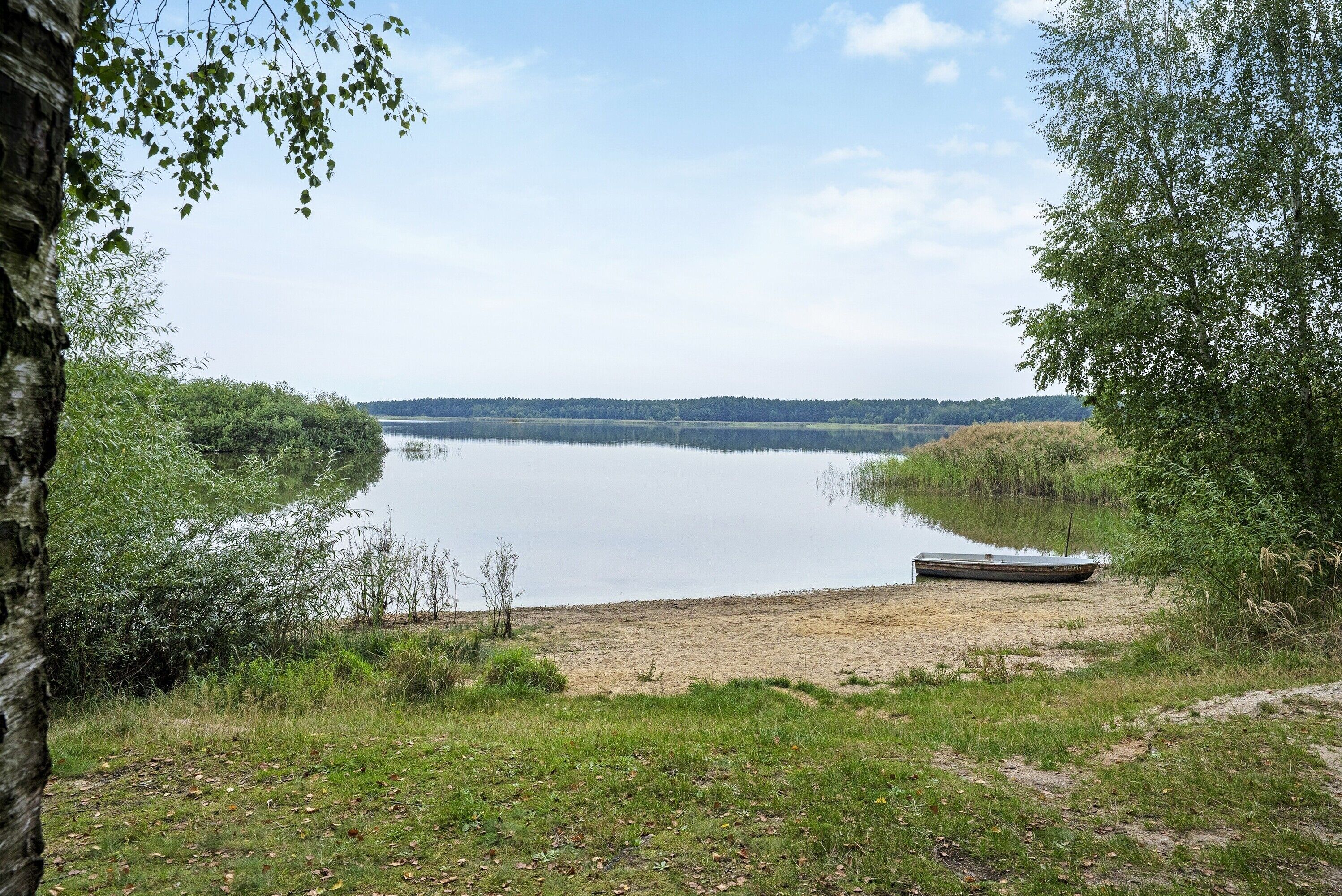 Ein See mit einem Boot am Ufer, umgeben von Bäumen und Pflanzen.