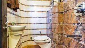 A bathroom with a curved design, a toilet, a sink, and a shower area. - PRINCE RESIDENCY (Amritsar)