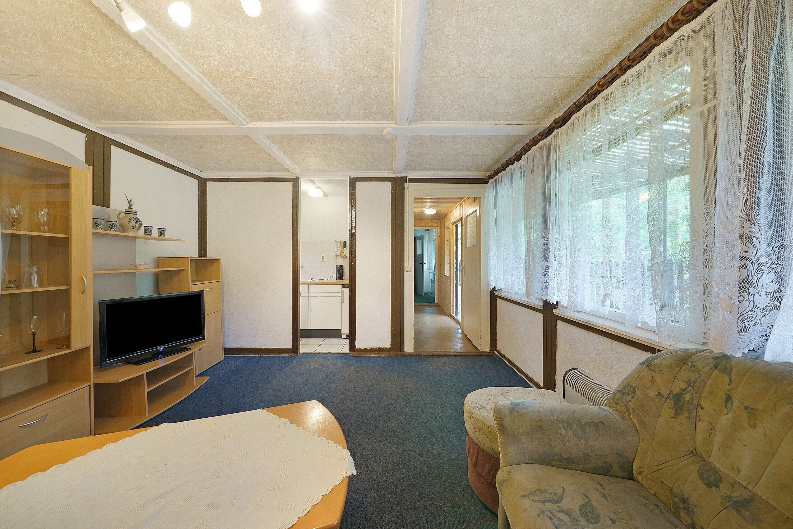 Televisio, pöytätennispöytä