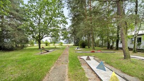 Un sendero que atraviesa un parque con árboles y bancos.