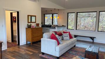 Smart TV, chimenea, libros