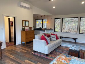 Smart TV, fireplace, books