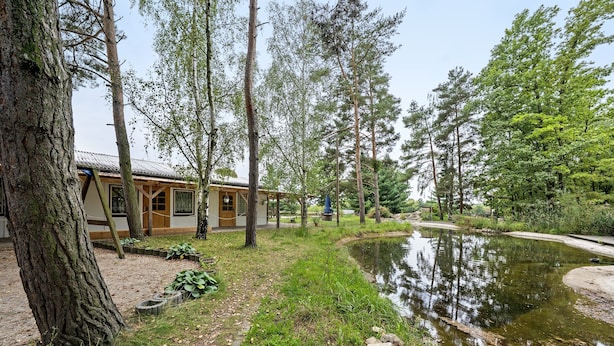 Un bâtiment à l’extérieur en bois, entouré d’arbres et bordé d’un étang.