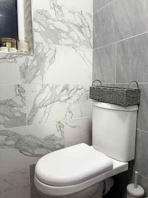 Shower, towels, toilet paper