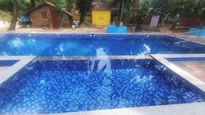 A rectangular swimming pool with blue mosaic tiles, surrounded by a concrete deck and trees. - Little Yellow House • Insta: @little.yellow.house1943 (Cansaulim)