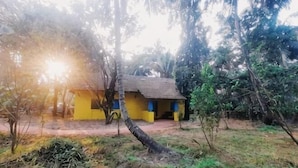 Exterior - Little Yellow House • Insta: @little.yellow.house1943 (Cansaulim)