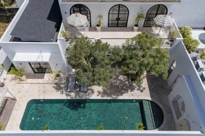 Pool - 5 Bedrooms Luxury Villa Casa Contenta Canggu (Bali)