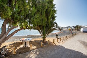 A beachside path with a barbecue area, a palm tree, and a view of the sea.