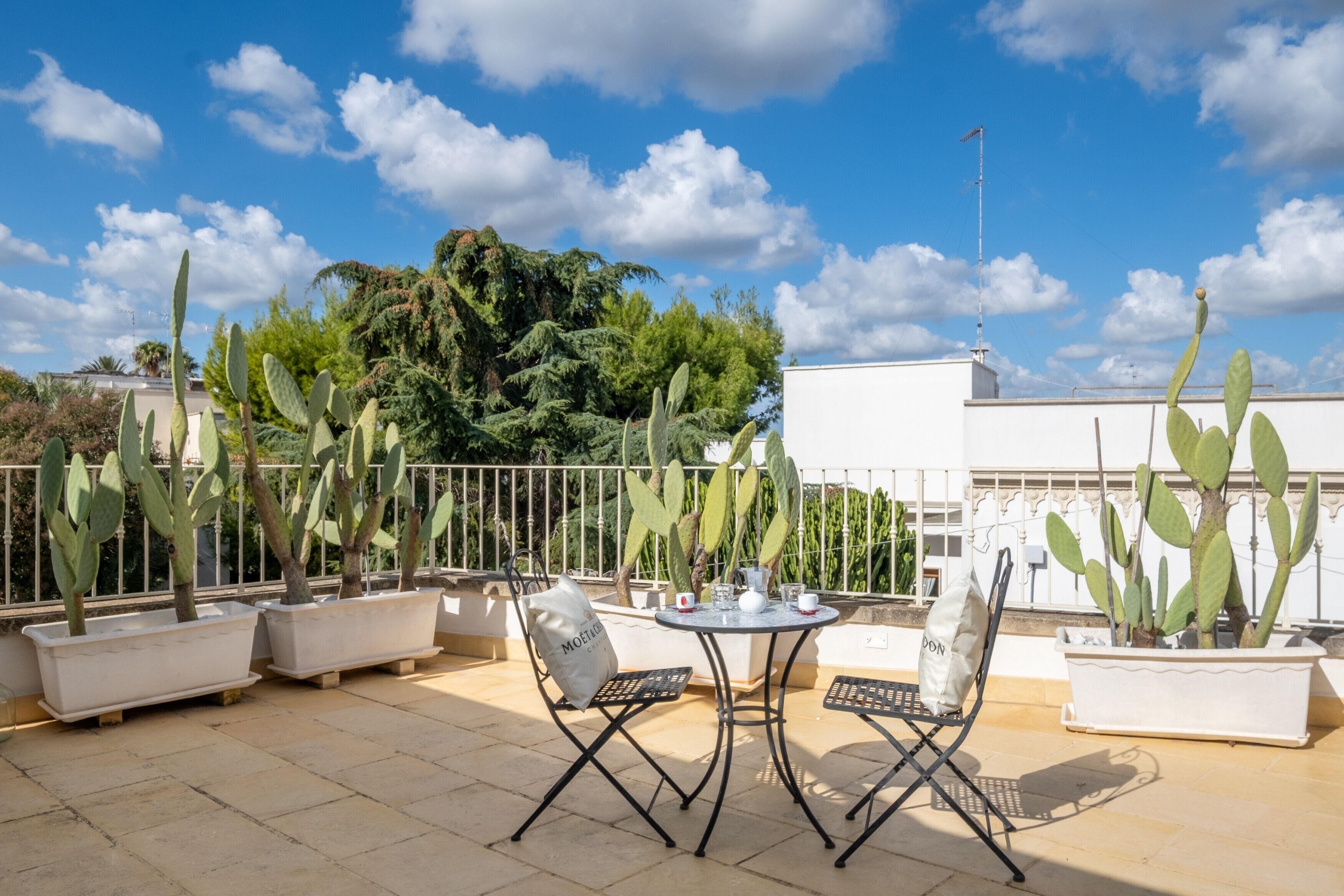 Une terrasse sur le toit, agrémentée de cactus en pot, d’une table ronde et de deux chaises.