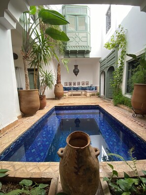 A pool with a tiled edge, surrounded by potted plants and a seating area with cushions. - Luxury and super-stylish riad in the heart of Marrakech Médina, fully staffed (Marrakech)