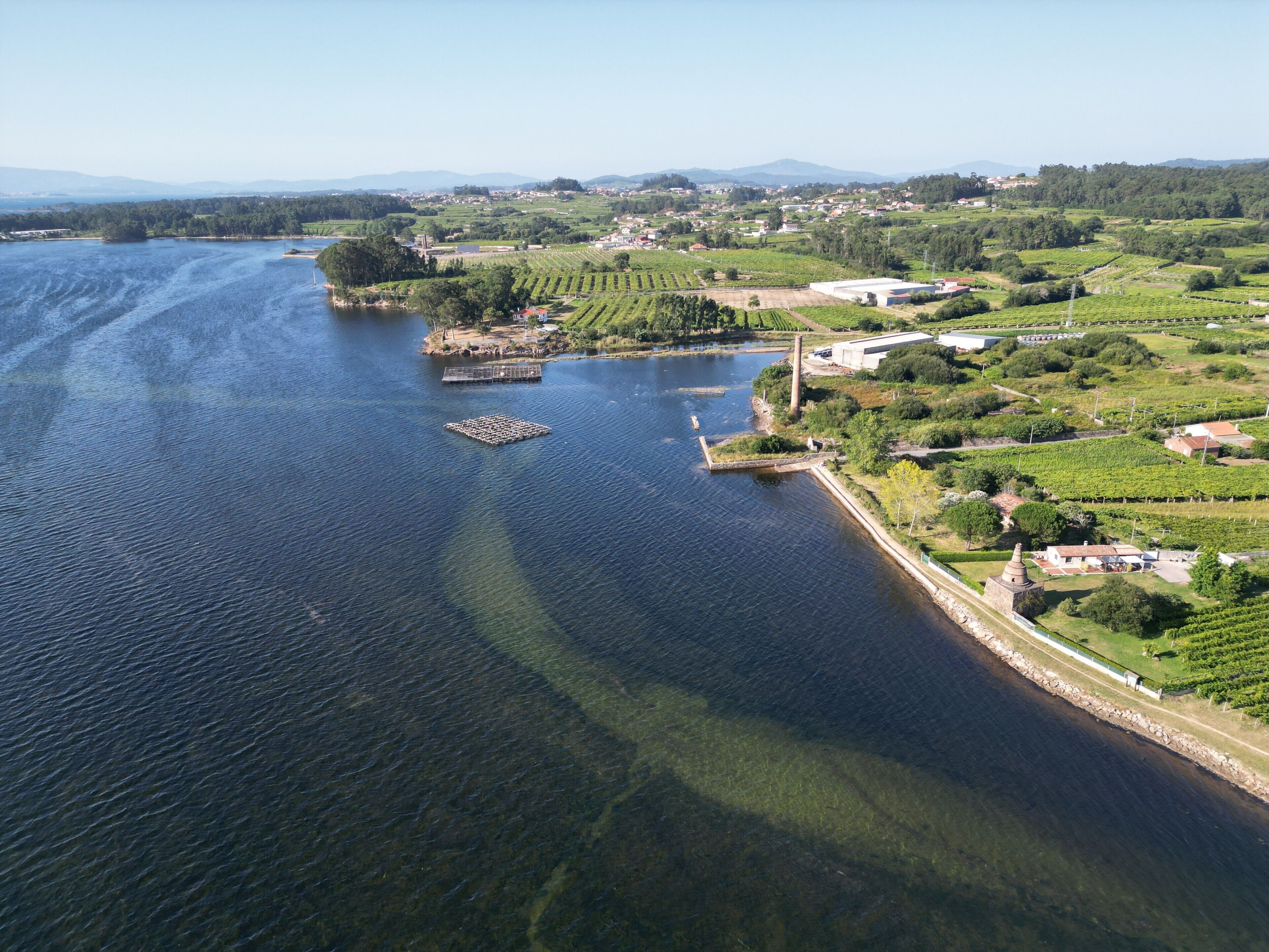 An aerial view of a riverside area with vineyards, a dock, and industrial buildings.