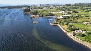 An aerial view of a riverside area with vineyards, a dock, and industrial buildings.