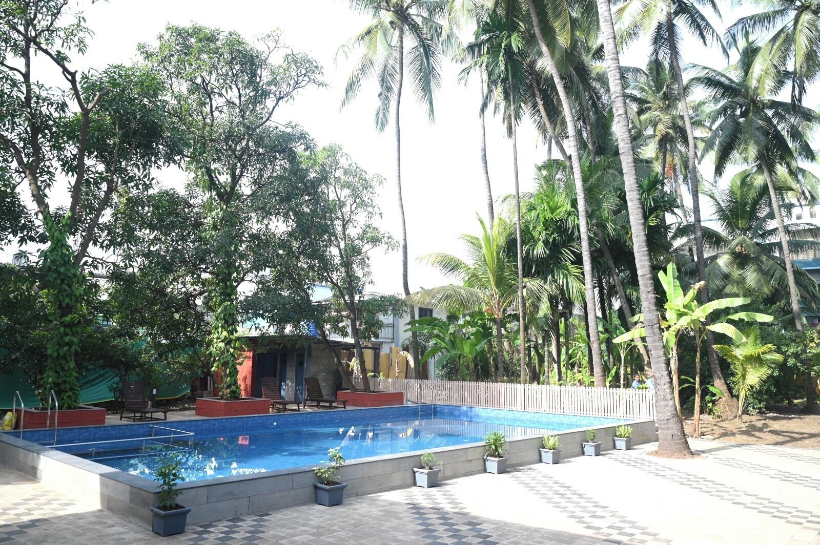 A swimming pool with a tiled deck, surrounded by palm trees and potted plants.