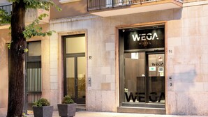 A hotel entrance with a large glass door, a sign reading "WEGA HOTEL", and two potted plants on the sidewalk. - Wega Hotel  (Verona)
