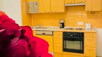 Fridge, oven, stovetop, coffee/tea maker