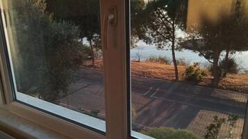 Vista des de l'allotjament