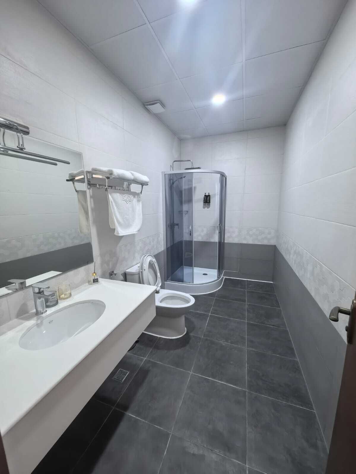 A bathroom with a shower enclosure, a sink, and a toilet.