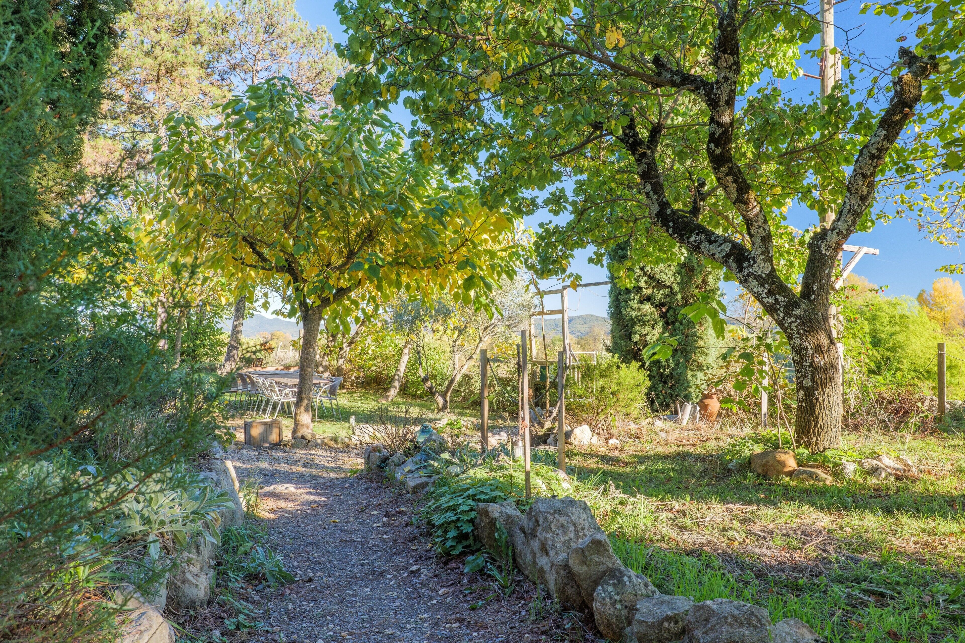 Un sendero en un jardín con árboles y una estructura de madera.