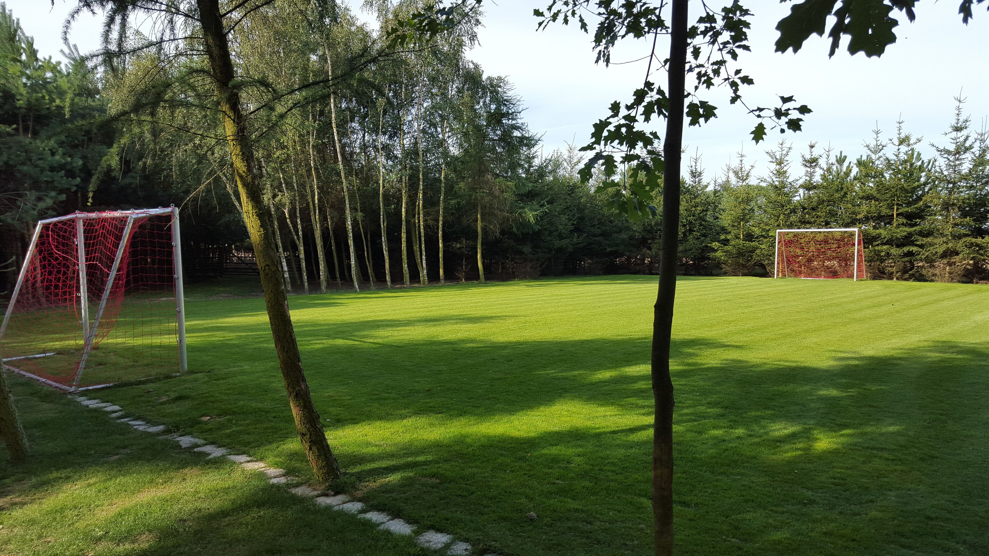 Un terrain herbeux bien entretenu, avec deux buts de football, entouré d’arbres et sous un ciel dégagé.
