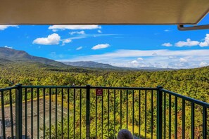 Blick von einem Balkon mit einem Schild, auf dem 'GRILLEN UND BARBECUE IST VERBOTEN' steht, mit Blick auf eine bewaldete Landschaft und Berge in der Ferne.