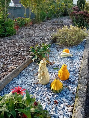 星評価なしの画像、2 / 15、ボタン