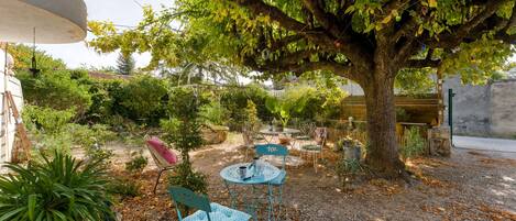 A garden with a large tree, outdoor seating, and various plants.