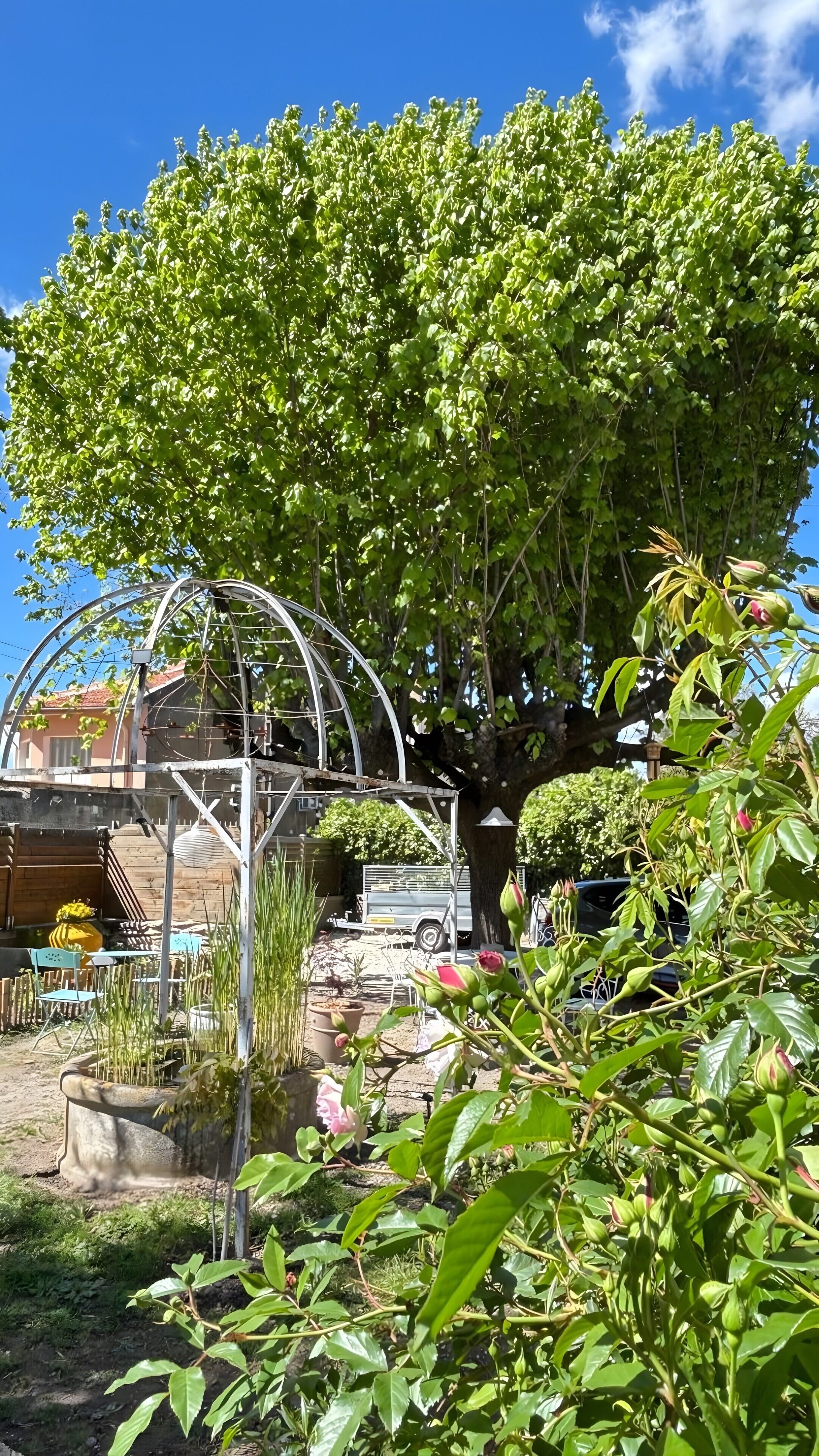 Área da propriedade