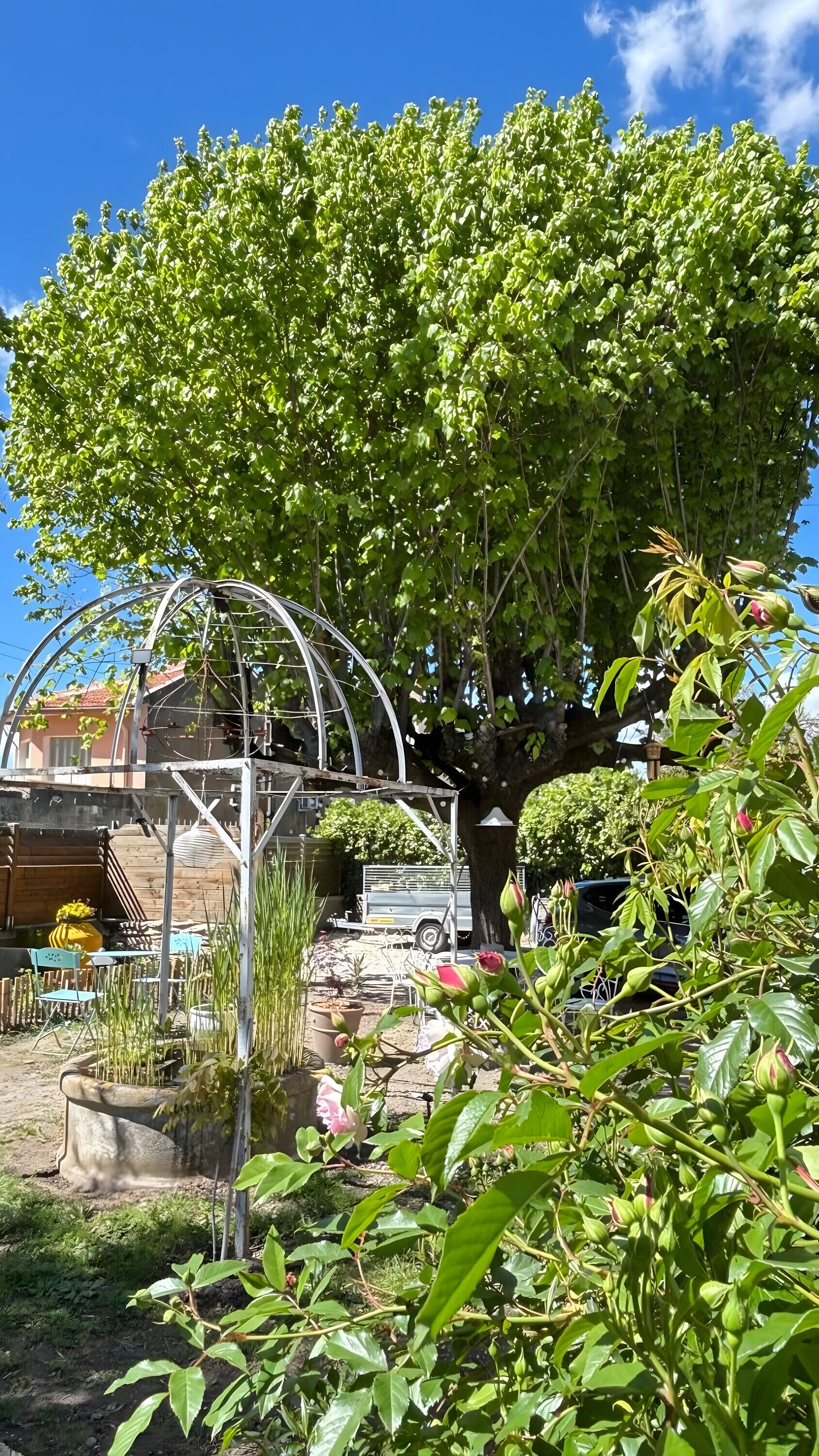 Enceinte de l’hébergement