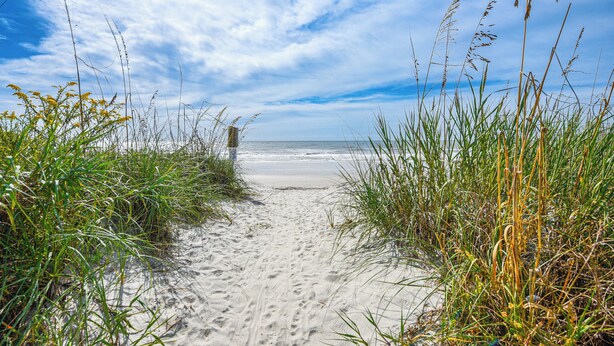 A sandy beach path with tall grass on either side leading to the sea under a partly cloudy sky. - Steps to Sand + Pool! 3rd-floor Myrtle Beach Condo (Myrtle Beach)