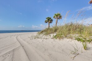 Una spiaggia sabbiosa con palme e erba.