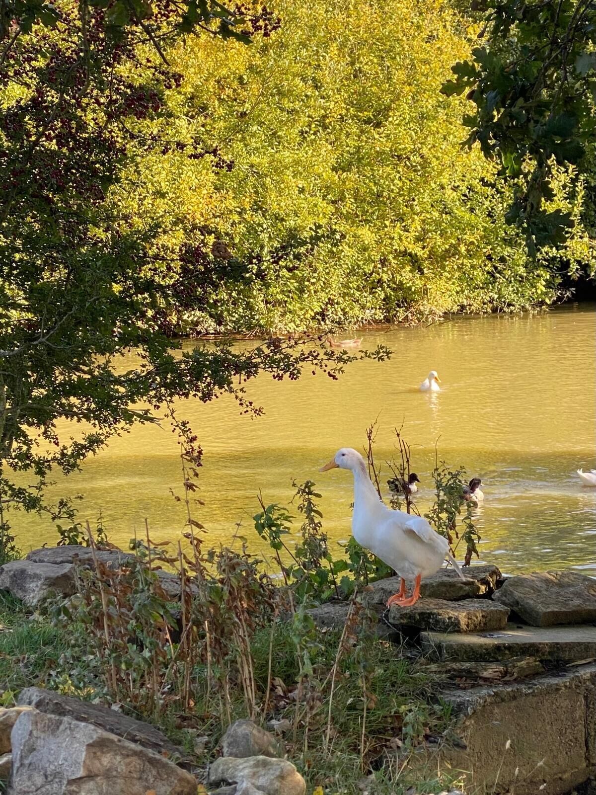 Bild für Gastgeberprofil