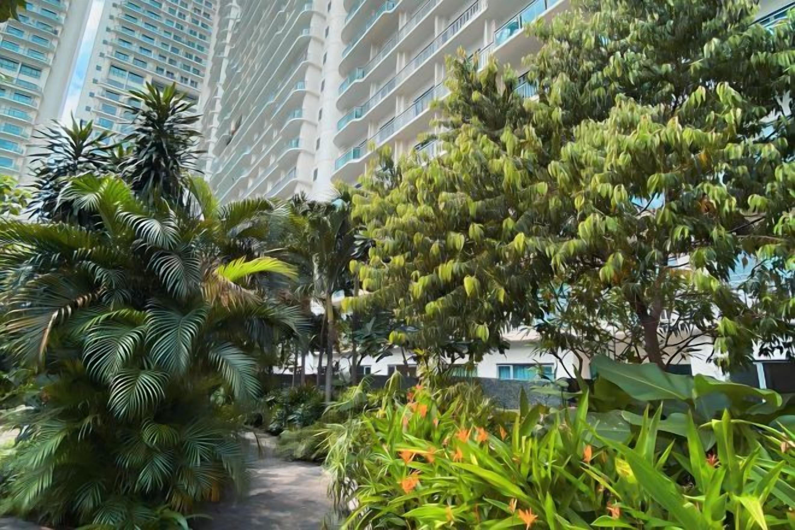 A pathway flanked by lush greenery and tall buildings.