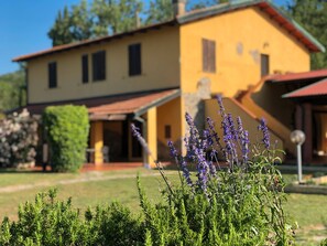 Property grounds - Room 'Santa Lorica - Camera 13' with Shared Pool, Wi-Fi and Air Conditioning (Sassetta)