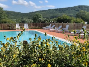 Pool - Room 'Santa Lorica - Camera 13' with Shared Pool, Wi-Fi and Air Conditioning (Sassetta)