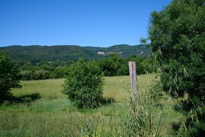 A natural landscape with a grassy field, trees, and hills in the background.