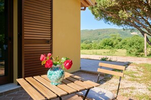 Un banco de madera con un jarrón de flores en un patio.