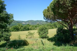 Un paysage naturel avec des arbres, de l’herbe et des collines en arrière-plan.