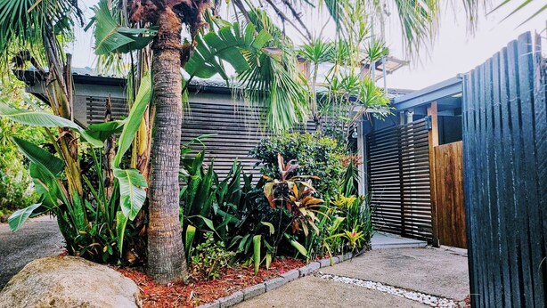 A tropical garden with a palm tree, various plants, and a wooden fence. - The Residence- A home away from home. Pet friendly/ family friendly. (Jindalee)