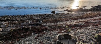 Senja - charming cottage by the sea. Fantastic view