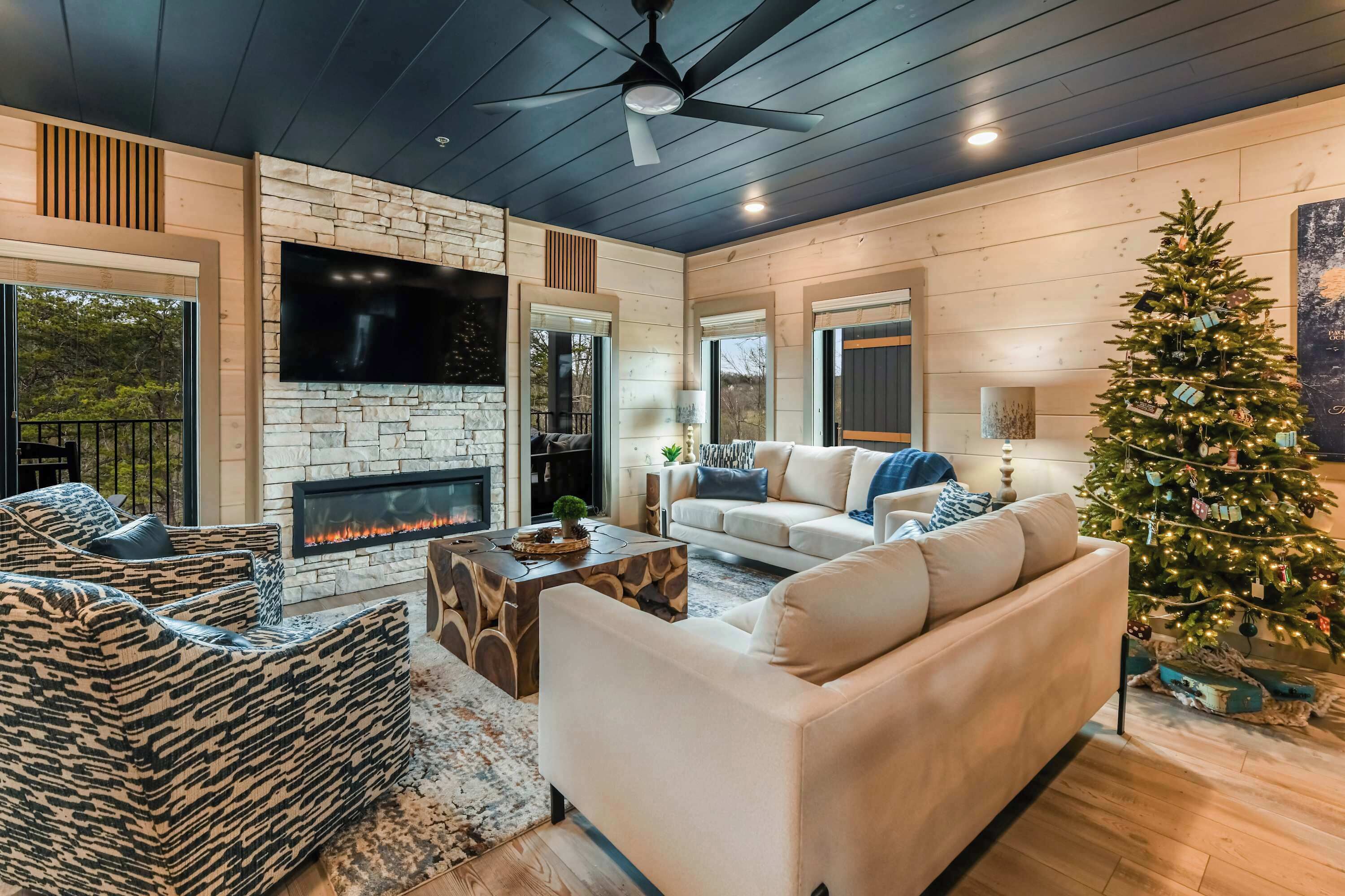 TV, lareira, videogames, aparelho de som