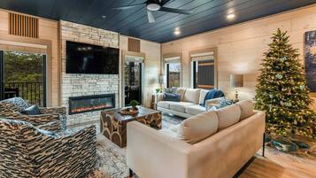 TV, lareira, videogames, aparelho de som