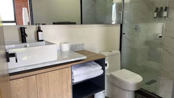 Shower, hair dryer, towels