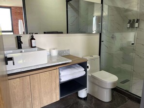 Shower, hair dryer, towels