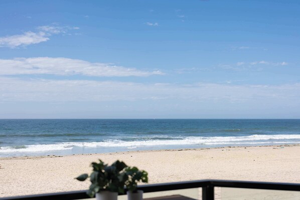 Une vue sur la plage depuis un balcon, avec une plante en pot au premier plan.