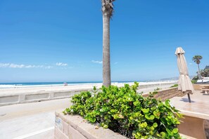Eine Strandpromenade mit einer Palme, einer Bank und einem Sonnenschirm.